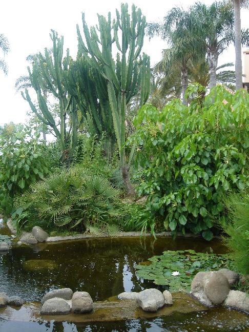 Alcazaba Beach Houses 003