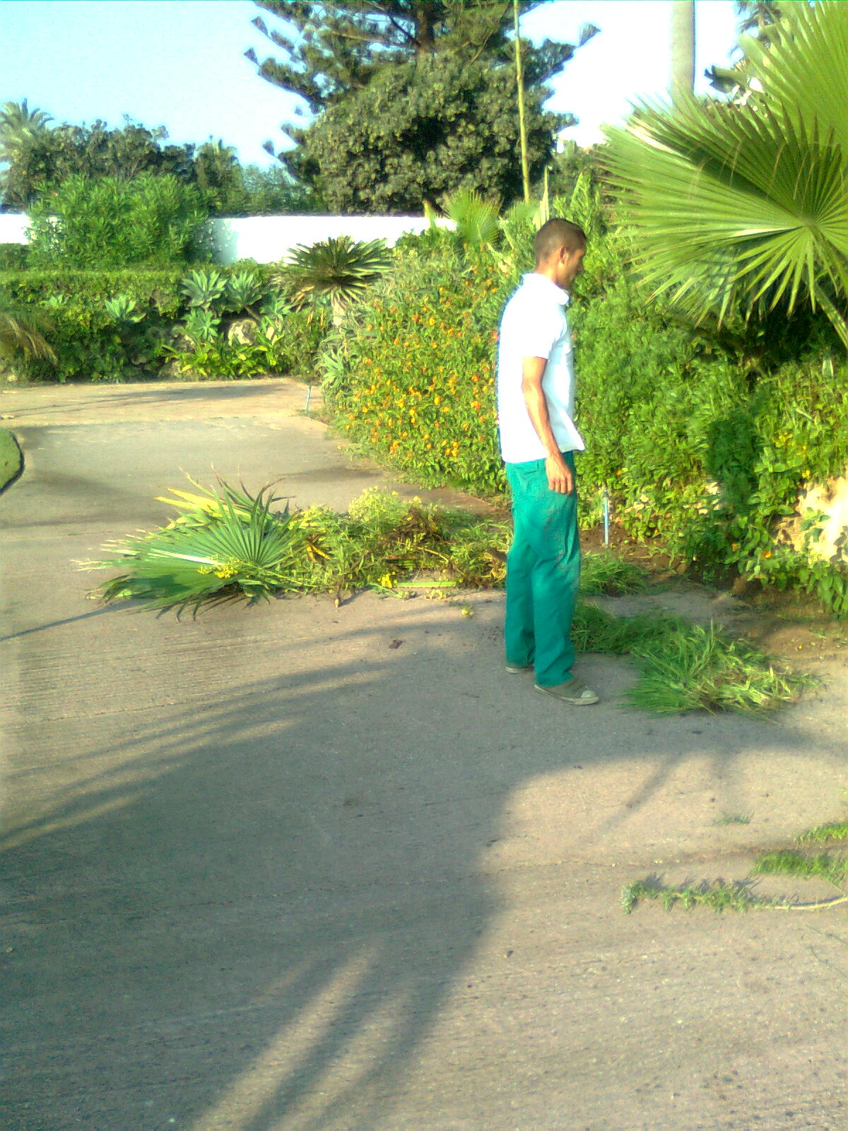 Alcazaba Beach Houses 