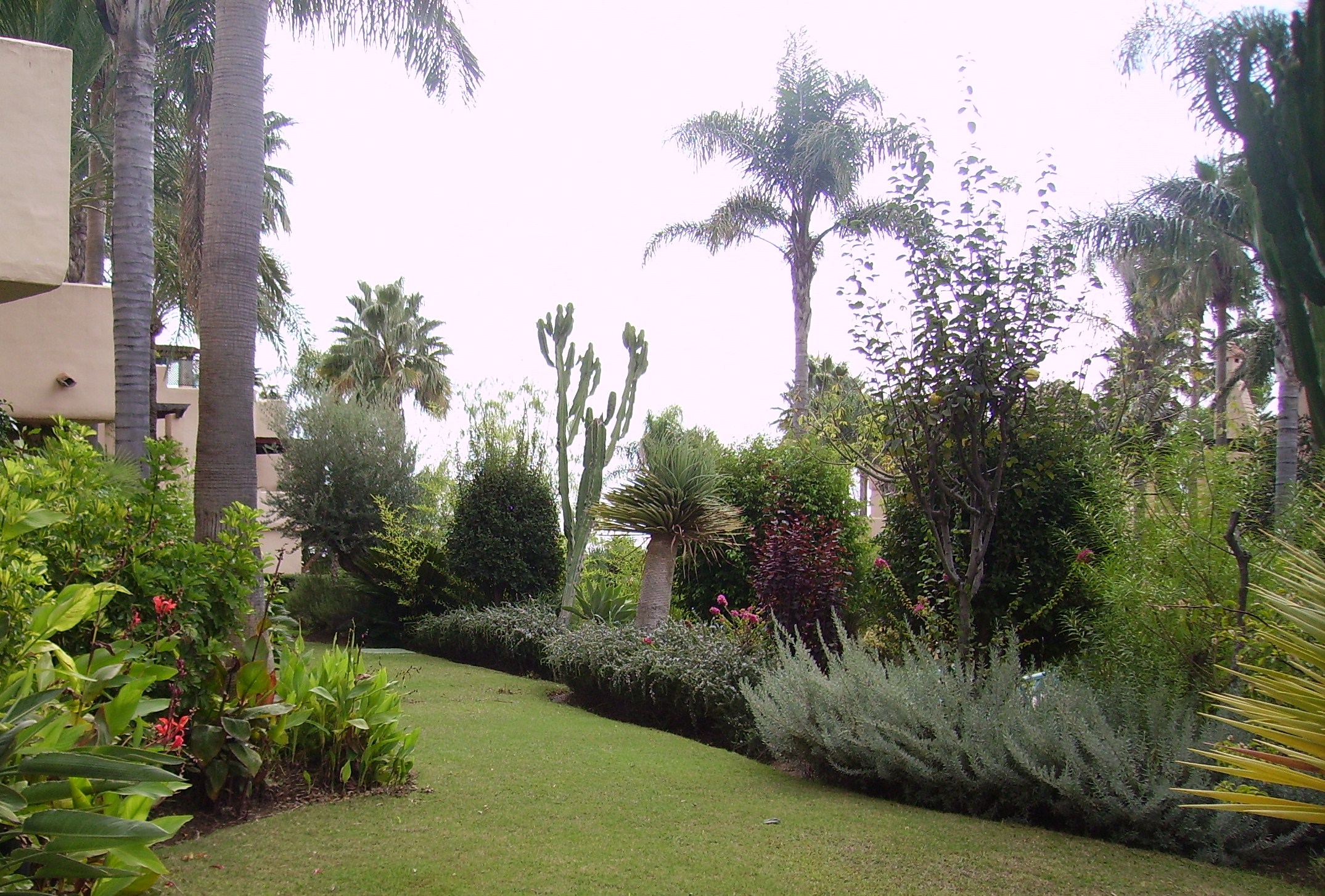 Alcazaba Beach Houses 