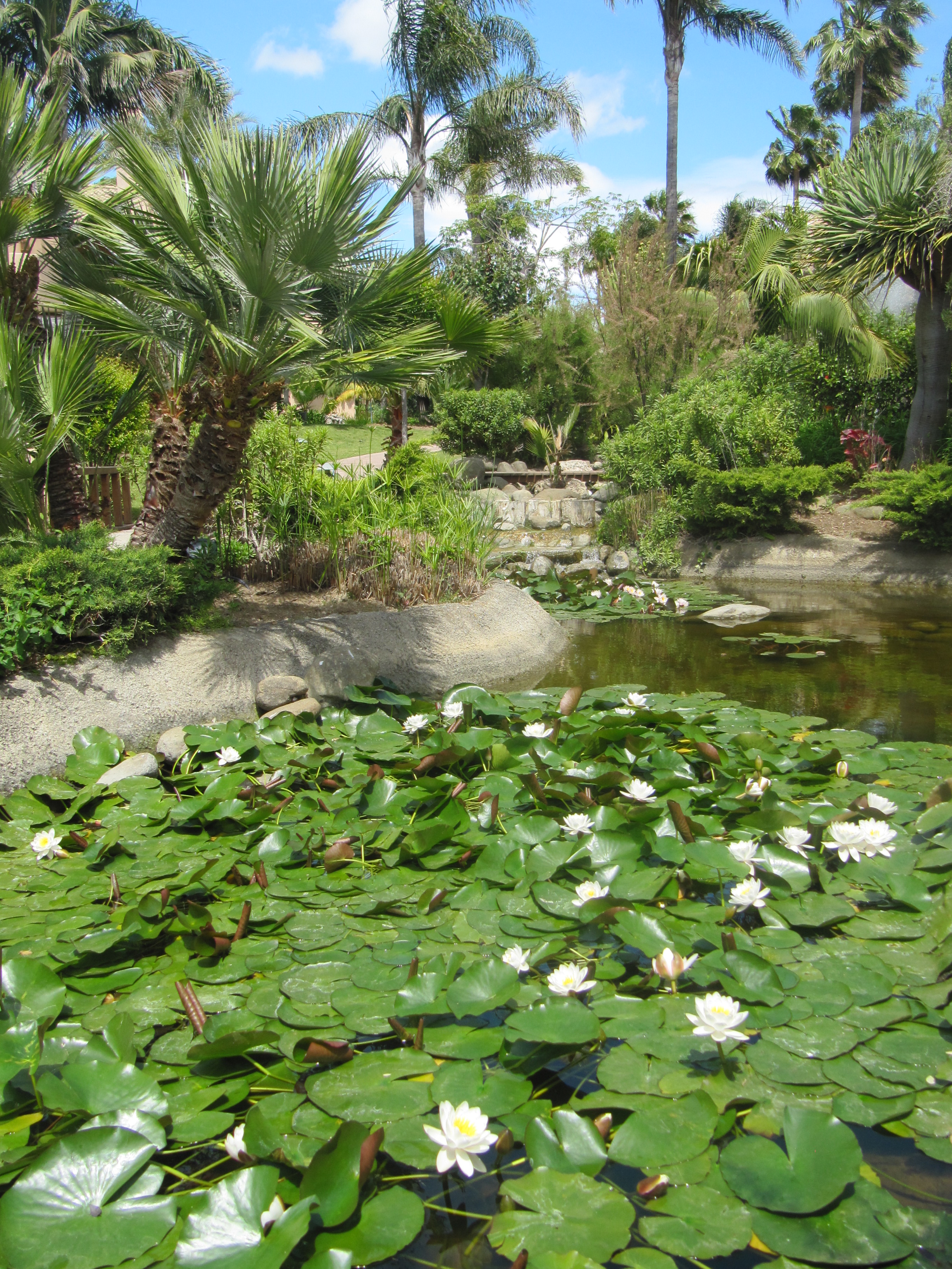 Alcazaba Beach Houses 