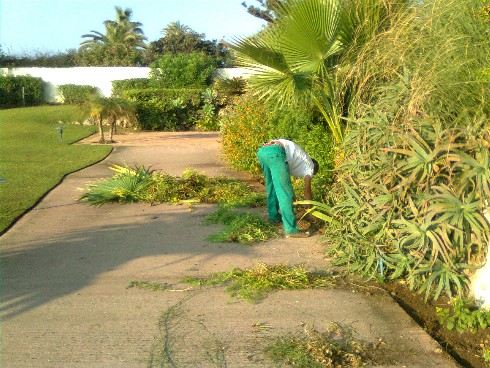 Alcazaba Beach Houses 