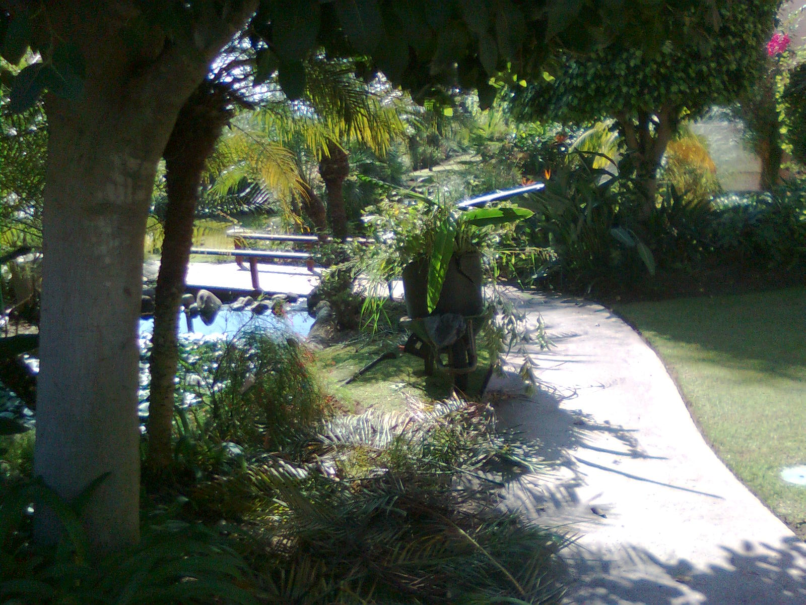Alcazaba Beach Houses 
